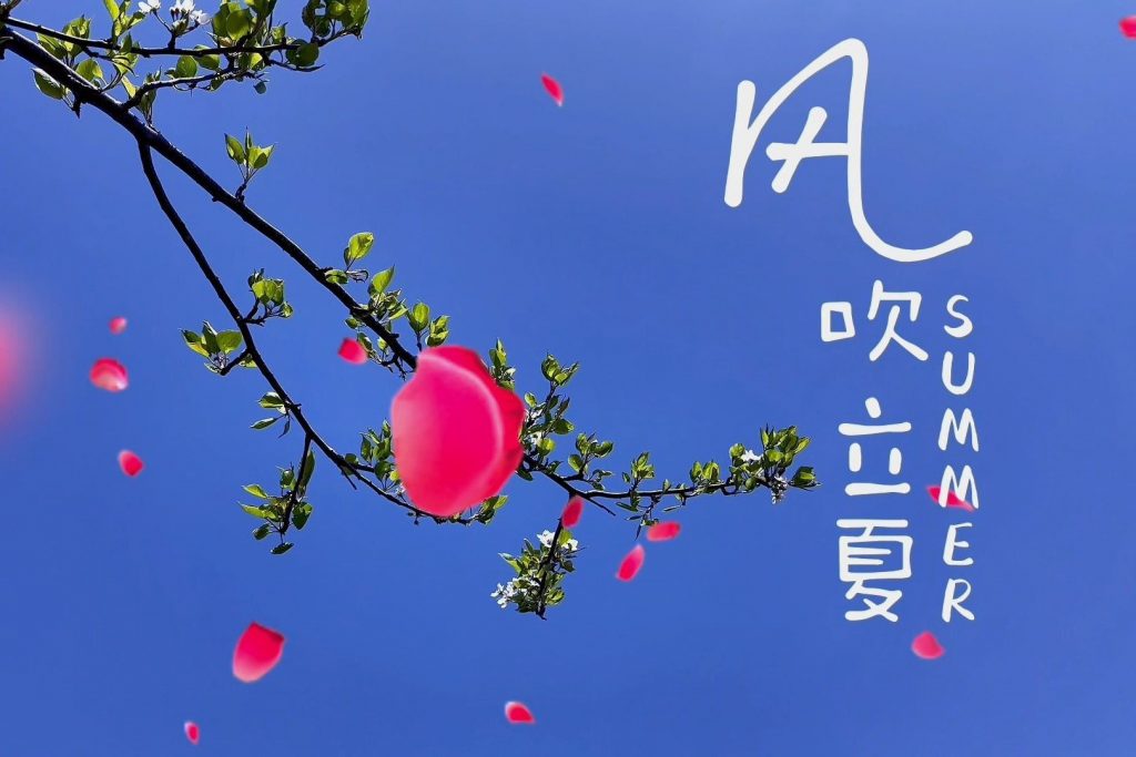 今日立夏:夏淺勝春最可人! 今日立夏:夏淺勝春最可人!